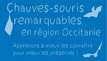 Un nouveau poster sur les chauves-souris remarquables de la région Occitanie